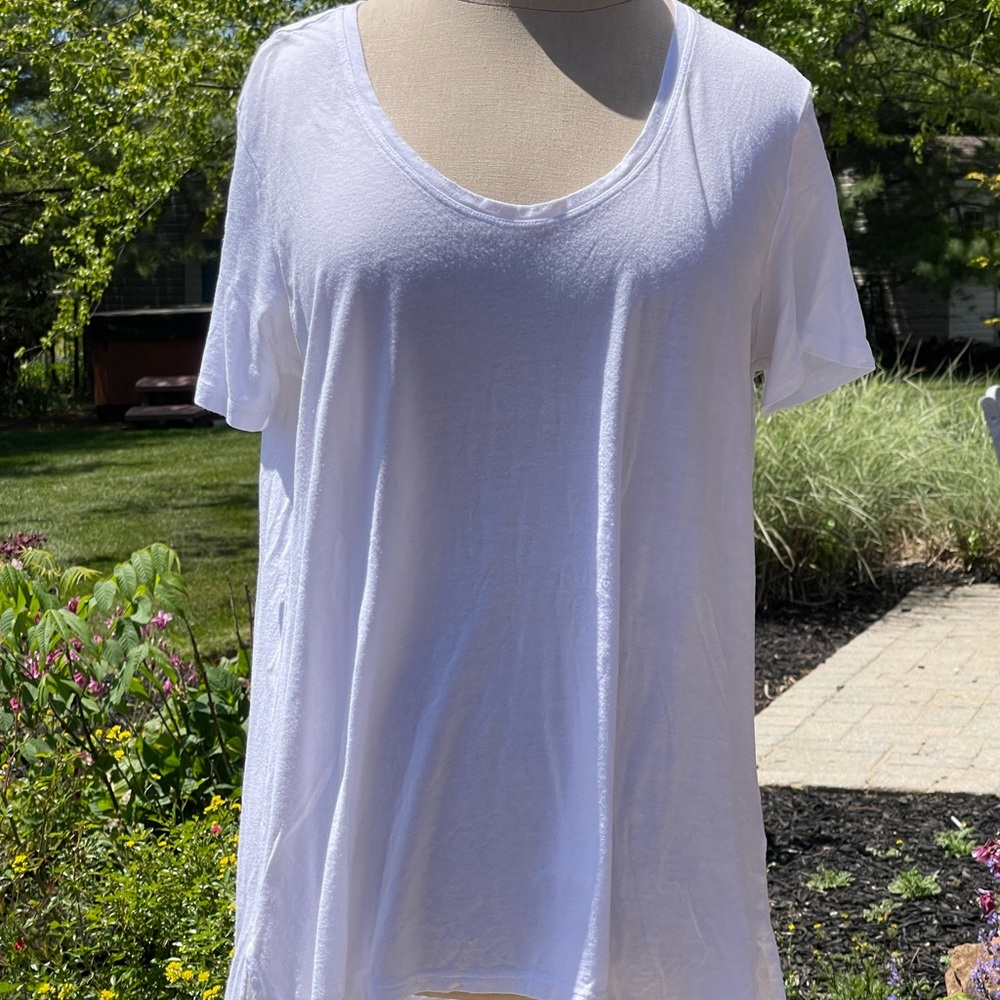 THEORY TOP